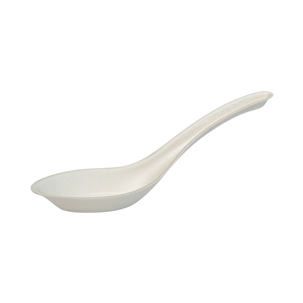 sugarcane fibre soup spoon on white background