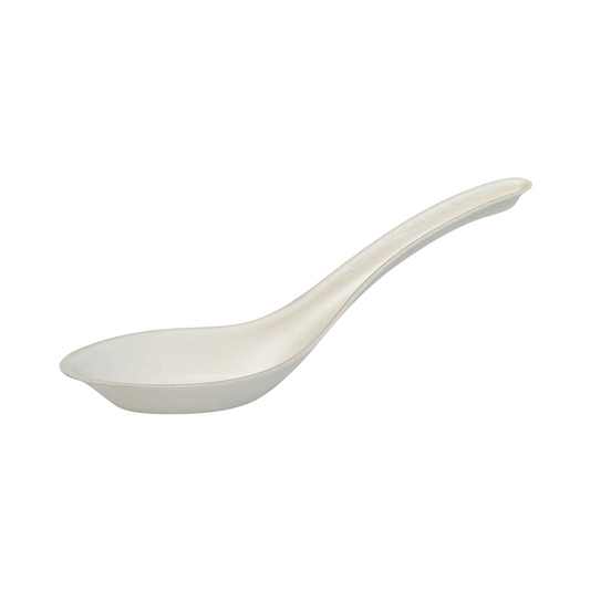 sugarcane fibre soup spoon on white background
